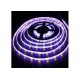 Ταινία Led Σετ με Τηλεχειριστήριο 5050-JCY 1250 RGBW 5m Ταινία Led Σετ με Τηλεχειριστήριο 5050-JCY 1250 RGBW 5m