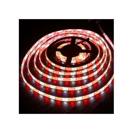 Ταινία Led Σετ με Τηλεχειριστήριο 5050-JCY 1250 RGBW 5m Ταινία Led Σετ με Τηλεχειριστήριο 5050-JCY 1250 RGBW 5m