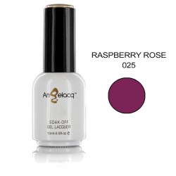 ΗΜΙΜΟΝΙΜΟ ΕΠΑΓΓΕΛΜΑΤΙΚΟ ΒΕΡΝΙΚΙ ANGELACQ 15ML - 0.5FL.OZ RASPBERRY ROSE 025 NY-AN025