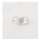 Δαχτυλίδι Alevine Jewellery Cloe με Πέτρες Ζιργκόν Χρώματος Ασημί 8720604880076