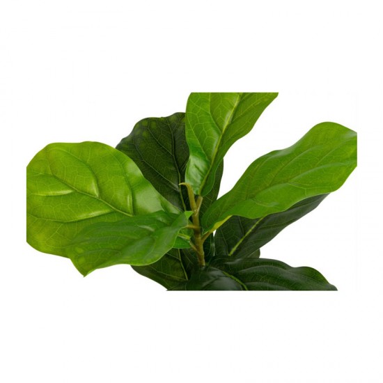 Τεχνητό Φυτό Ficus Lyrata 50 cm Inkazen 40081828
